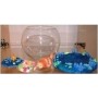 Aquarium Fish Decorative Bowl – Compact Glass Bowl with Blue Base for Guppy & Betta