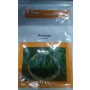 BASF Nunhems Rushaan F1 Hybrid Bitter Gourd Seeds – Small & Medium Spiny Segment Champion (15gm / 100 Seeds)
