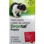 Bayer Drontal 