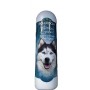 Biogroom Herbal Groom Botanical Infused Conditioning shampoo