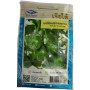 Chia Tai Home Garden Round Green Eggplant Seeds – Compact, High-Yield Variety
