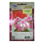 Chia Tai Home Garden Balsam Flower Seeds – 144 Seeds of Easy-Grow Annual Blooms