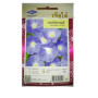 Chia Tai Home Garden Morning Glory Flower Seeds – 34 Seeds of Purple-Blue Trumpet Blooms