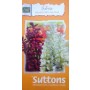 Hybrid Salvia Flower Seeds – VISTA MIX | Sutton & Sons | High Germination | Pollinator-Friendly