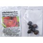 Red Dwarf Lotus Seeds – 5 Seeds of Compact Aquatic Elegance