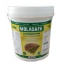 Provet Pharma Molasafe – Organic Carbon & Energy Source for Biofloc Aquaculture