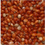 Red Millet for Birds – Premium Avian Superfood | 2kg Pack | Natural, High-Fiber, Digestive Support