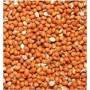 Finches Small Grain Red Millet – Premium Bird Feed | 2kg Pack | High-Energy & Digestive-Friendly
