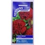 SUTTONS England Gaillardia Red Plume