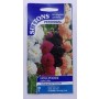SUTTONS England Hollyhock Chater Mix – 45 Towering Blooms in Regal Colors for Cottage Gardens