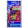 SUTTONS England Phlox Delight Mix – 200 Butterfly-Loving Summer Bloom Seeds from UK