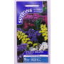 SUTTONS England Statice Sinuata Special Mix – 80 Seeds | Half-Hardy Annual for Vibrant Cut Flowers