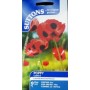 Suttons UK Poppy Seeds – Ladybird Variety with Fire-Red Blooms & Black Petal Spots