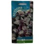Suttons UK Basil Summer Surprise Herbs Seeds – 250 Premium Seeds for Seasonal Flavor & Windowsill Gardens