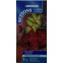 Suttons UK Coleus Rainbow Mix Seeds – 100 Vibrant Foliage Plants for Year-Round Container Color (1 Pack)