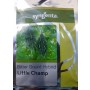 Syngenta Little Champ 75g Bittergourd Hybrid Seeds – Medium-Long Green Fruits with High Crop Vigor (Approx. 500 Seeds)