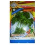 Sam A Curly Parsley Seeds – Crisp Aromatic Herb for Kitchen Gardens | Pack of 0.5gm / ~220 Seeds