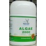 White Crane ALGAE 2000 Bulk Pack – Spirulina-Based Growth & Color Supplement (500 gm)