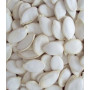 White Pumpkin Seeds – Premium Grade | Clean & Natural | Wildbird Feed | Available in 1 Kg & 5 Kg