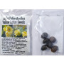 Yellow Dwarf Lotus Seeds – 6 Seeds of Premium Aquatic Elegance